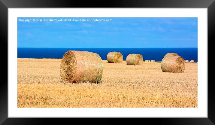  Bales of Straw on the Coast Framed Mounted Print by Gisela Scheffbuch