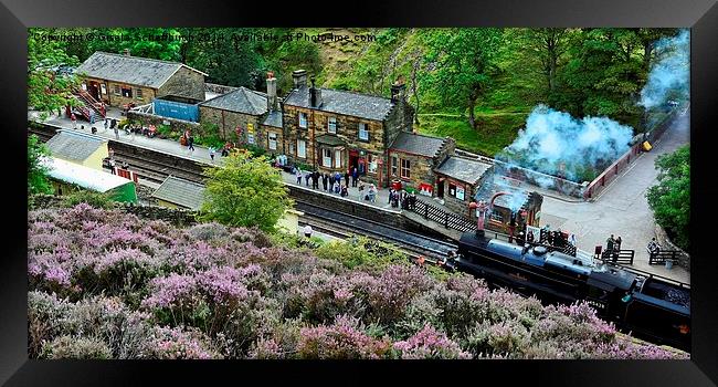  Goathland Station Framed Print by Gisela Scheffbuch