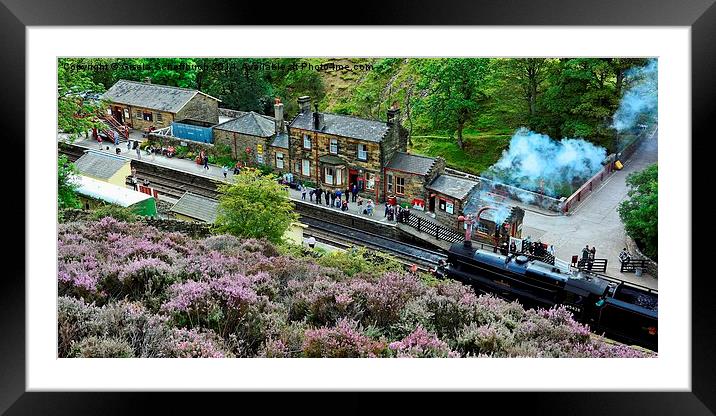  Goathland Station Framed Mounted Print by Gisela Scheffbuch