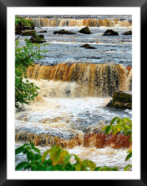  Aysgarth Upper Falls Framed Mounted Print by Gisela Scheffbuch