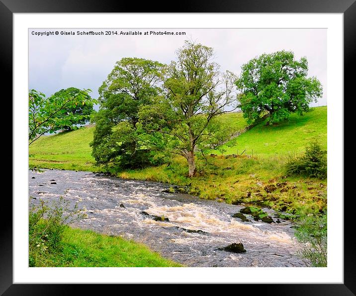  Scenery at the riverbank Framed Mounted Print by Gisela Scheffbuch