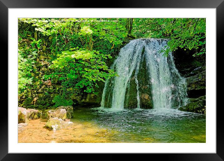  Janet's Foss Framed Mounted Print by Gisela Scheffbuch