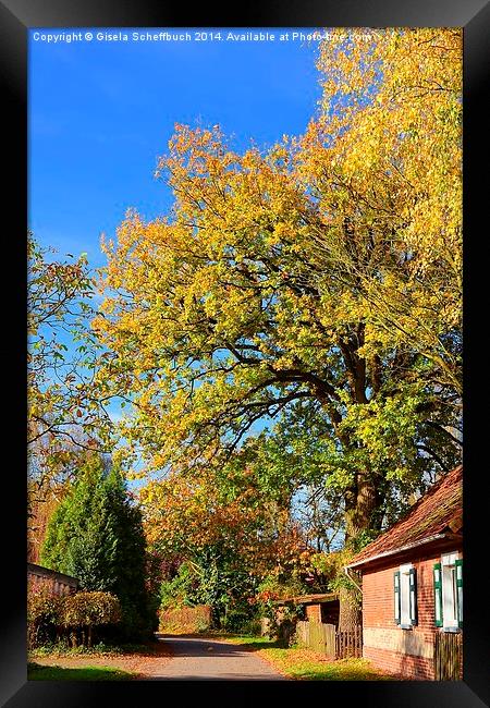  German  Village Street in Autumn Framed Print by Gisela Scheffbuch
