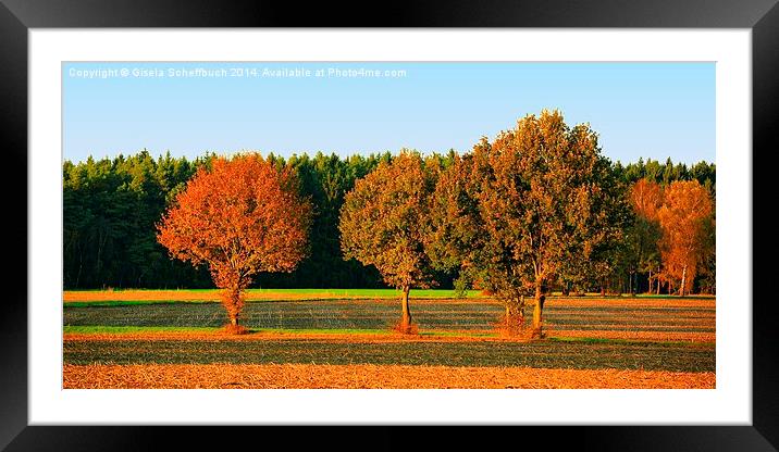 Last Evening Sun Framed Mounted Print by Gisela Scheffbuch