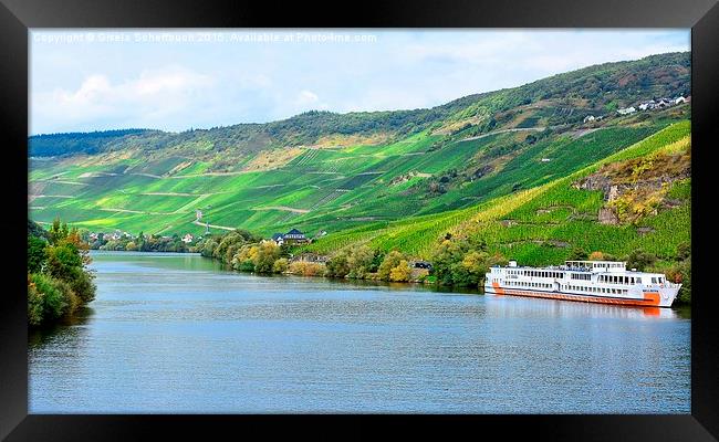 The Moselle near Bernkastel-Kues Framed Print by Gisela Scheffbuch