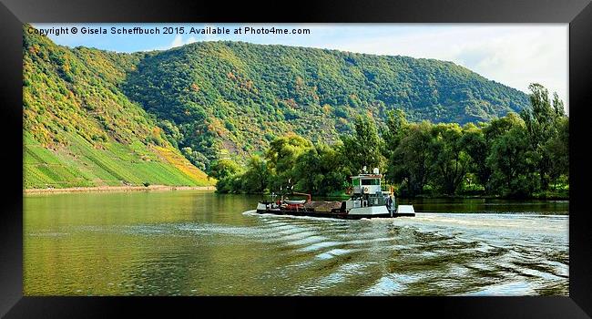  The Moselle in front of the Calmont Framed Print by Gisela Scheffbuch