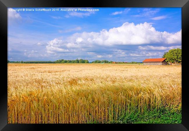  Summer Impressions from Northern Germany Framed Print by Gisela Scheffbuch