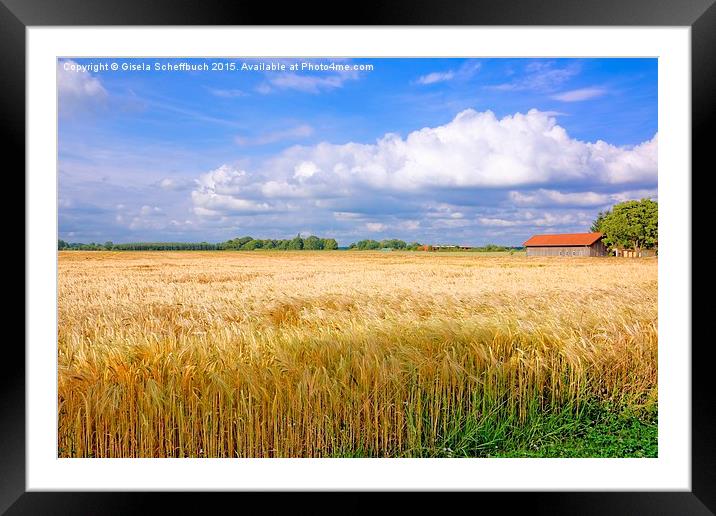  Summer Impressions from Northern Germany Framed Mounted Print by Gisela Scheffbuch