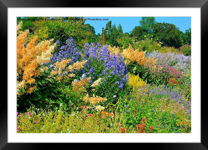  Flower Garden Framed Mounted Print by Gisela Scheffbuch