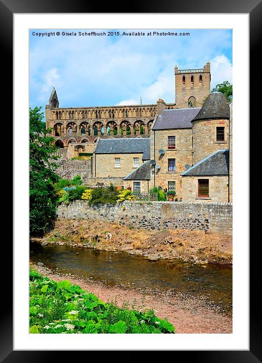  Jedburgh Abbey Framed Mounted Print by Gisela Scheffbuch