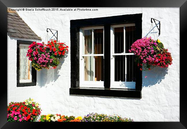  Lovely Flowers in New Abbey Framed Print by Gisela Scheffbuch