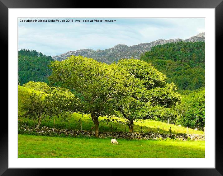 A Summer Evening in Snowdonia Framed Mounted Print by Gisela Scheffbuch