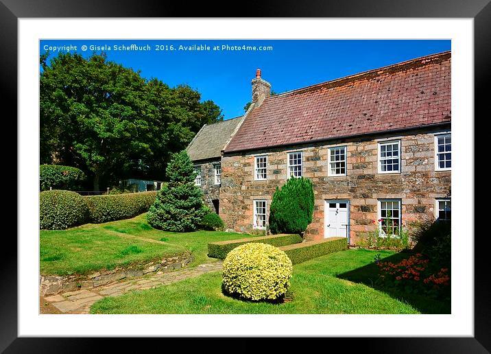 Idyll on the Isle of Sark  Framed Mounted Print by Gisela Scheffbuch