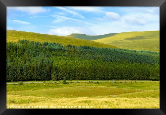 View to Pen y Fan Framed Print by Gisela Scheffbuch