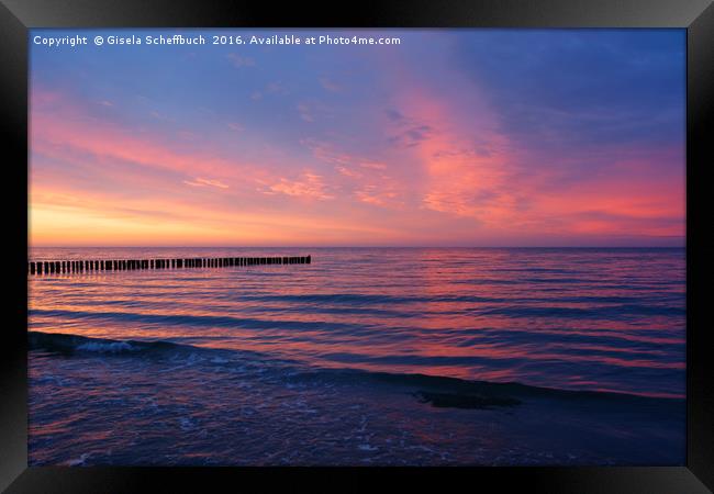 Sunset at the Baltic Sea Framed Print by Gisela Scheffbuch