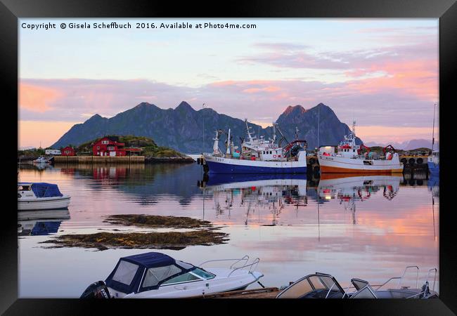 Bright Summer Night in the Lofoten Archipelago Framed Print by Gisela Scheffbuch