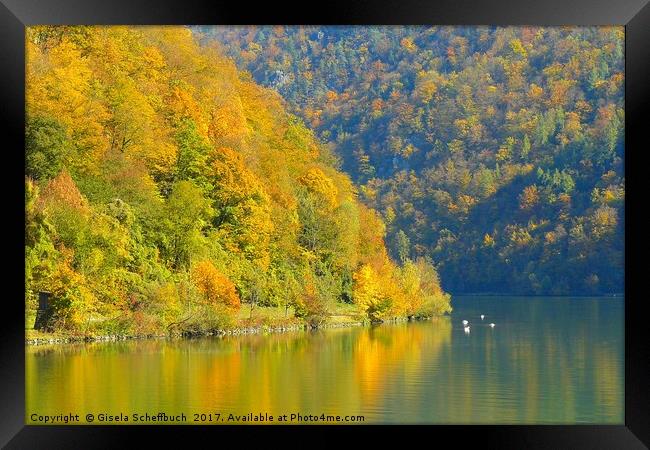 Danube in Autumn Framed Print by Gisela Scheffbuch