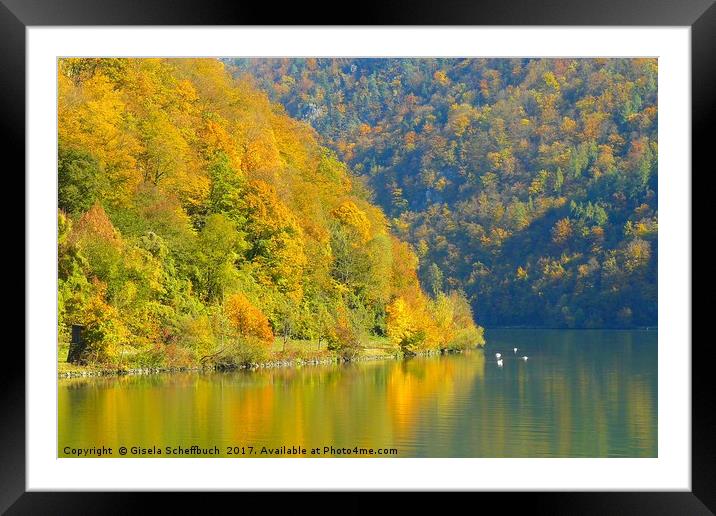 Danube in Autumn Framed Mounted Print by Gisela Scheffbuch