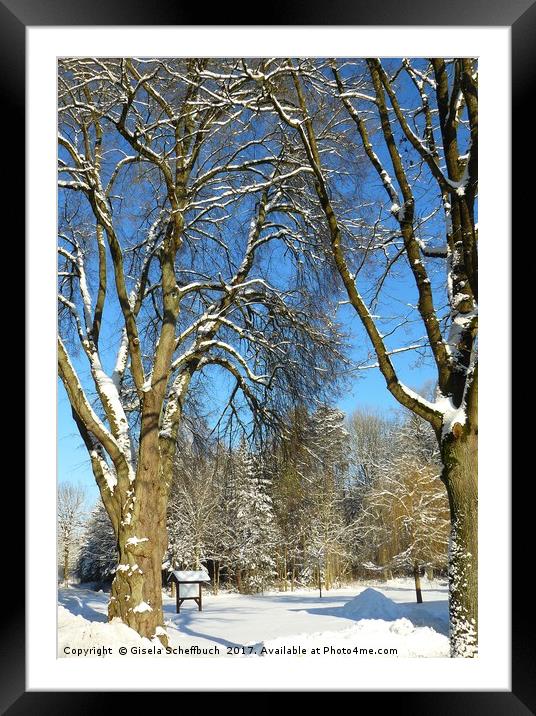 Winter Scenery Framed Mounted Print by Gisela Scheffbuch