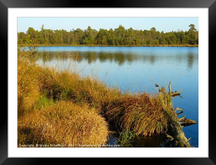 Moorland Lake in Autumn Framed Mounted Print by Gisela Scheffbuch