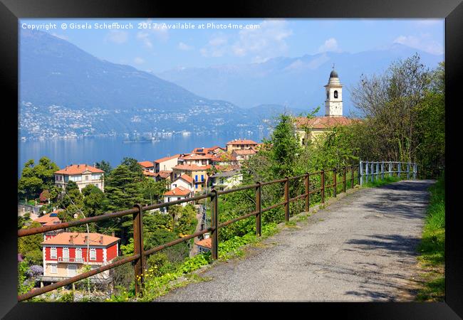 Pino sulla Sponda del Lago Maggiore Framed Print by Gisela Scheffbuch