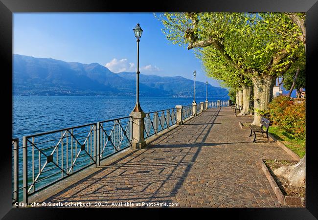 Walk on the Shores of Lago Maggiore Framed Print by Gisela Scheffbuch