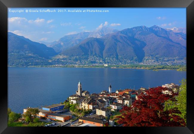 The Village Vira on the Shore of the Lago Maggiore Framed Print by Gisela Scheffbuch