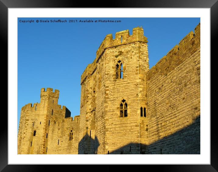 The setting sun on Caernarfon Castle Framed Mounted Print by Gisela Scheffbuch