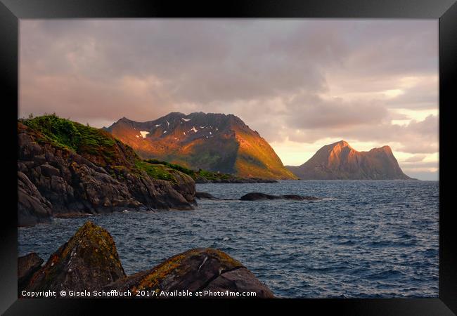 The Mountains of Senja in the Midnight Sun Framed Print by Gisela Scheffbuch