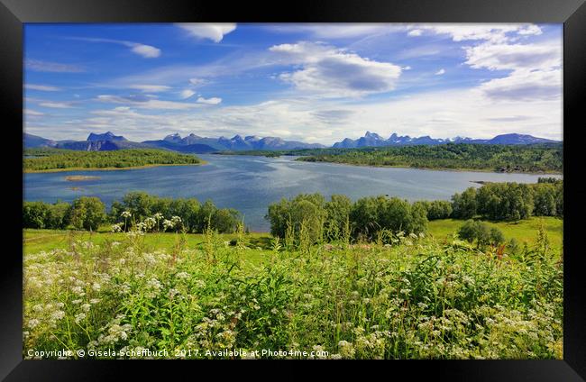 View of Tysfjorden Framed Print by Gisela Scheffbuch