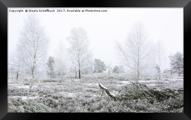 Frosty Heathland  Framed Print by Gisela Scheffbuch