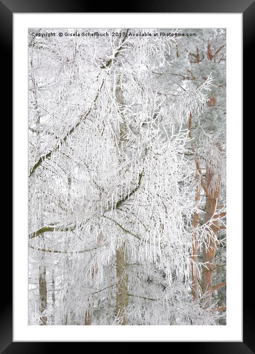 Frosted Tree Framed Mounted Print by Gisela Scheffbuch