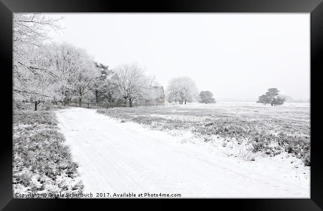 Severe Frost Framed Print by Gisela Scheffbuch