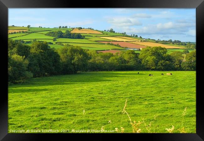 Welsh Scenery Framed Print by Gisela Scheffbuch