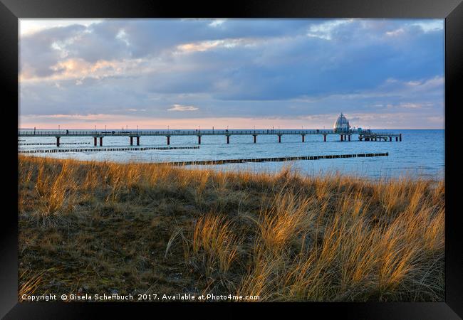 An Evening at the Baltic Sea in Spring Framed Print by Gisela Scheffbuch