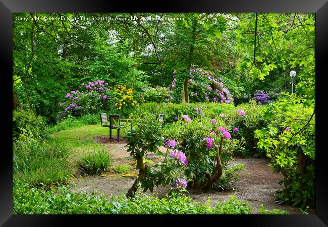 Springtime in the Public Park Framed Print by Gisela Scheffbuch