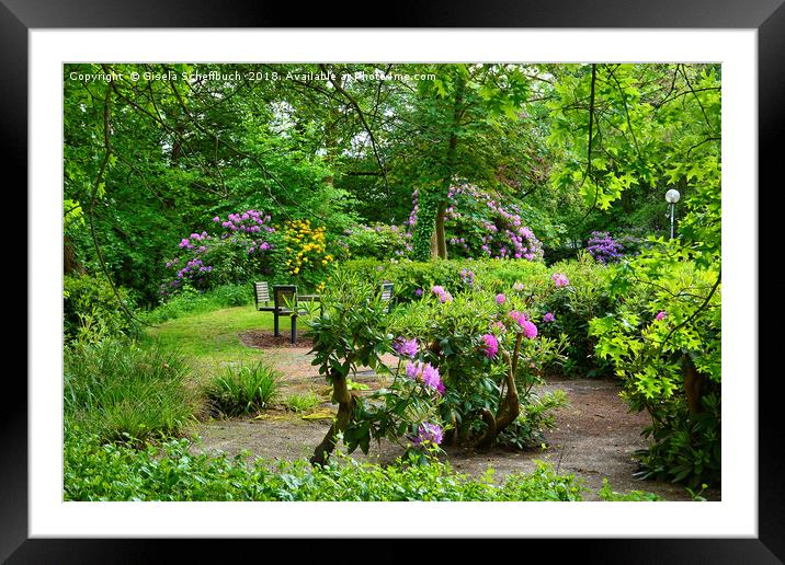 Springtime in the Public Park Framed Mounted Print by Gisela Scheffbuch