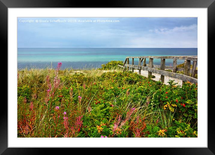 Late Summer on the Baltic Sea Framed Mounted Print by Gisela Scheffbuch