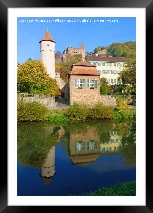  Wertheim with the Tauber River and the Castle Framed Mounted Print by Gisela Scheffbuch