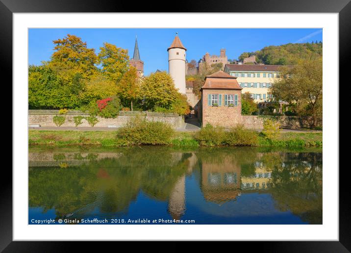 Wertheim with the Tauber River and the Castle     Framed Mounted Print by Gisela Scheffbuch