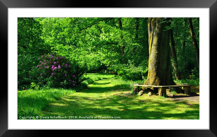 An Idyllic Green Scenery in Breiding's Garden Framed Mounted Print by Gisela Scheffbuch