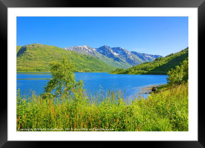 Gullesfjorden - Fjord in Norway Framed Mounted Print by Gisela Scheffbuch