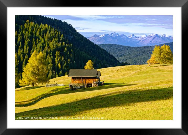 Scenery on the Alpe di Siusi Framed Mounted Print by Gisela Scheffbuch