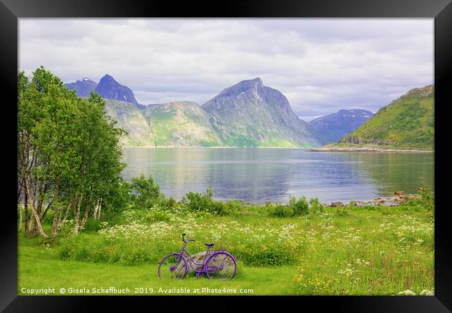 Violet Accents - On the Island of Senja  Framed Print by Gisela Scheffbuch