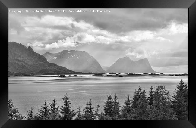 Rough Summer in the North - Senja Norway Framed Print by Gisela Scheffbuch