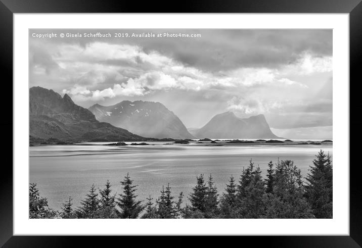 Rough Summer in the North - Senja Norway Framed Mounted Print by Gisela Scheffbuch