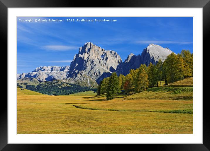 Amazing Autumn Day on the Alpe de Siusi Framed Mounted Print by Gisela Scheffbuch