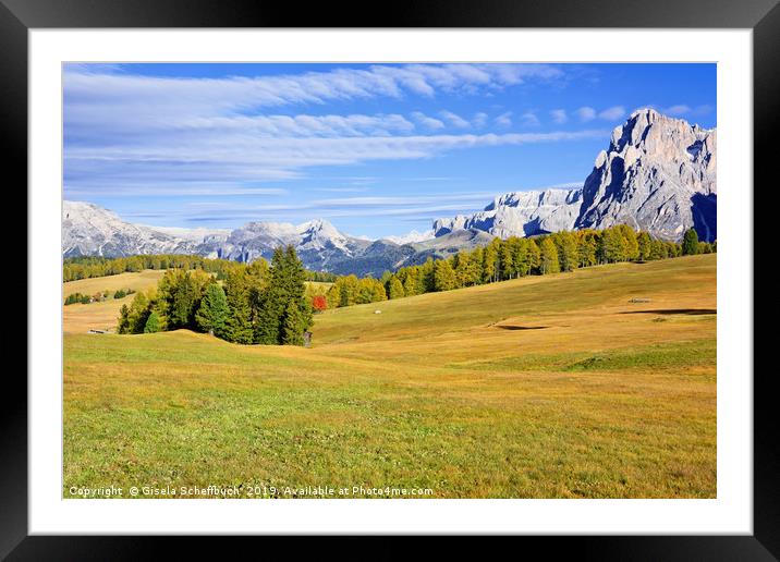 Autumn on the Alpe di Siusi (Seiser Alm) Framed Mounted Print by Gisela Scheffbuch