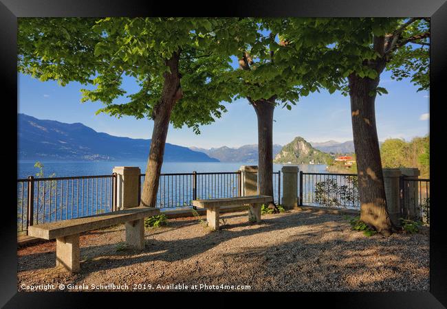 A Spring Evening at Lake Maggiore Framed Print by Gisela Scheffbuch