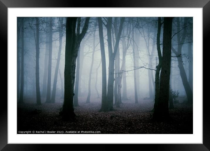 Forest Enigma Framed Mounted Print by RJ Bowler